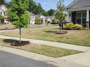 Donna A.'s Lawn Mowing Service service result