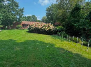 Bella s.'s Lawn Maintenance service result