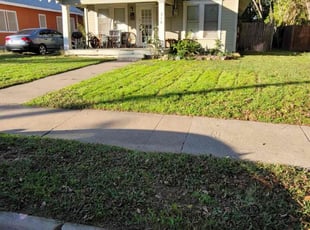 Mounir L.'s Lawn Maintenance service result