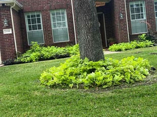 Richard B.'s Lawn Maintenance service result