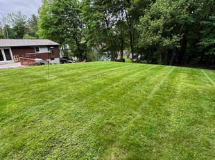 Leaf Removal by Evan Thayer for Tina P. in Sterling, MA