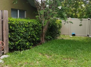 Erin B.'s Bush Trimming service result