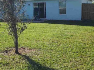 Mariah G.'s Lawn Service service result