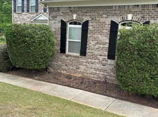 Bush Trimming by Roy Reddick for Corey H. in Kennesaw, GA