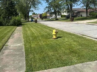 Anita G.'s Lawn Maintenance service result