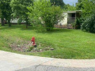 Felecia J.'s Grass Cutting service result