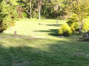 Lina W.'s Lawn Care service result
