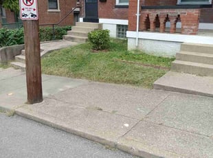 Bush Trimming by Terrance North for Ayodele O. in Covington, KY