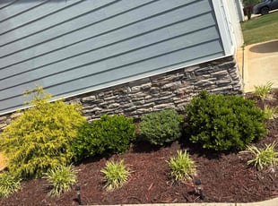 Mulching by Amanda Carter for Shuvar E. in Garner, NC