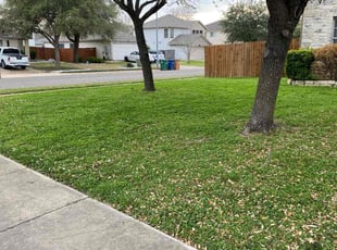 Blake H.'s Grass Cutting service result