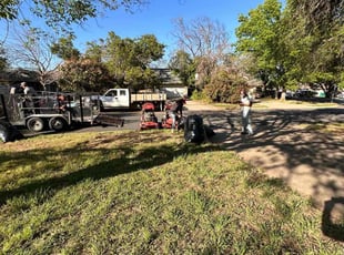 Leaf Removal by Jesus Cepeda for Evelyn L. in Cedar Park, TX