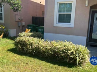 Weeding by Dwaylon Peterson for Anthony S. in Tampa, FL