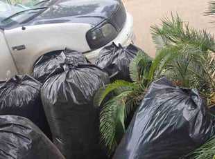 Leaf Removal by Felix Botello for Latonya T. in Katy, TX