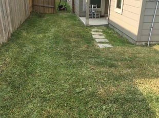 Sabrina C.'s Lawn Mowing service result