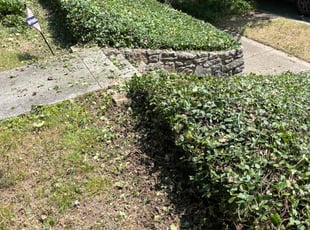 Bush Trimming by Gilberto Nava for Jennifer M. in Nashville, TN
