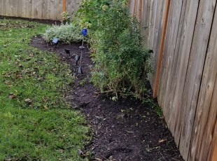 Cleanups by J P for Matea M. in Portland, OR