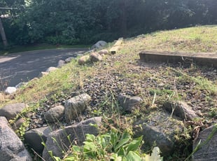 Cleanups by Trey Ealey for Vince N. in Eagan, MN