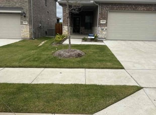 Elizabeth M.'s Lawn Mowing service result
