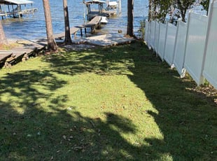 Boushelle P.'s Yard Cutting service result
