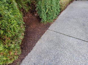 Cleanups by Coben Varland for Manasa V. in Sammamish, WA