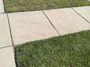 Stacy V.'s Lawn Maintenance service result