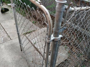 Alex W.'s Cleanups service result