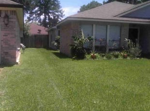 APRIL P.'s Lawn Maintenance service result