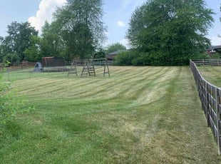 Madison T.'s Lawn Service service result