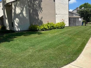 Leslie S.'s Lawn Service service result