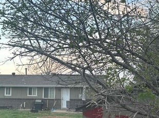 Bush Trimming by Zyler Thornhill for Troy E. in Lakewood, CO
