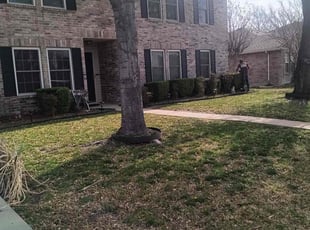 Bush Trimming by Brian Orozco for Crystal Y. in Rockwall, TX