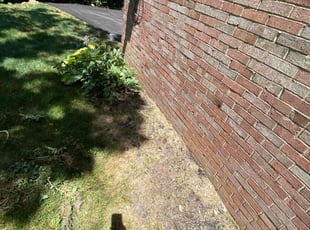 Weeding by Vince Colaianni for Beena R. in Pittsburgh, PA