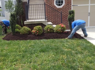 Landscaping by Jim Crossett for Edward S. in Chantilly, VA
