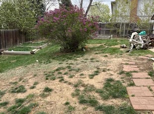 Cleanups by Jesse Nunez for Joelle S. in Centennial, CO