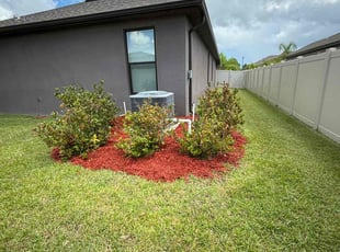 Savannah E.'s Mulching service result