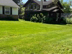 Dana S.'s Lawn Care service result