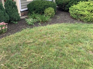 Cleanups by Ryan Cooper for Danielle D. in Grand Rapids, MI