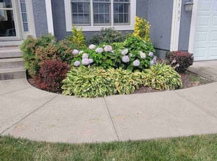 Bush Trimming by Chris Whittington for Paul M. in Lee's Summit, MO