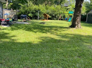 Latisha P.'s Lawn Service service result