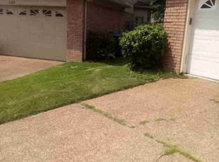 Bush Trimming by Robert Beals for Jonathon M. in Memphis, TN