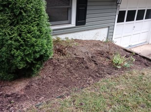 Weeding by Shawn Davis for Ashley B. in Arden, NC