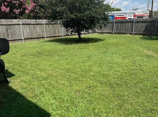 Lizbeth p.'s Lawn Mowing service result