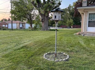 Nicholas V.'s Lawn Maintenance service result