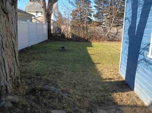 Leaf Removal by James Bryant for Carol B. in Lorain, OH