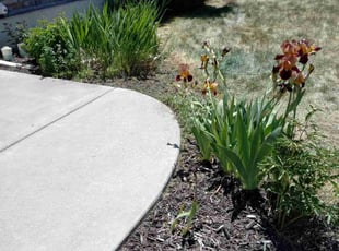 Weeding by Angelic Griego for Carlyle O. in Layton, UT
