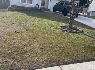 Leaf Removal by Derrick Crudup for Michael O. in Raleigh, NC