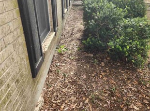 Leaf Removal by George Lombas for Melanie G. in New Orleans, LA
