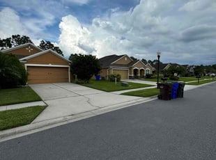 Judy N.'s Lawn Maintenance service result