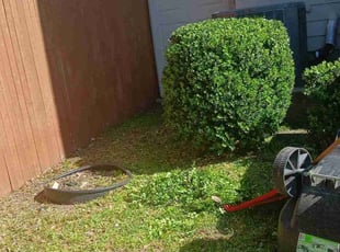 Bush Trimming by Rene Gabriel Ramirez for Wael E. in Cedar Park, TX