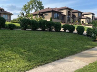 Bush Trimming by Dominick Baldwin for Kusai U. in Springfield, MO